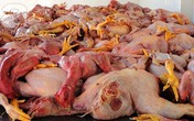 Cận cảnh quá trình "hô biến" thịt thối, bốc mùi, rỉ nước thành món ngon khoái khẩu Cận cảnh quá trình "hô biến" thịt thối, bốc mùi, rỉ nước thành món ngon khoái khẩu