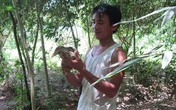 Anh nông dân nghèo từ chối 2 tỷ đồng để giữ vườn chim vì muốn dạy con tình yêu với thiên nhiên Anh nông dân nghèo từ chối 2 tỷ đồng để giữ vườn chim vì muốn dạy con tình yêu với thiên nhiên