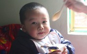Để nhà không còn “bé biếng ăn” Để nhà không còn “bé biếng ăn”