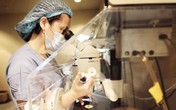 Bi hài chuyện đi lấy con...“giống”! Bi hài chuyện đi lấy con...“giống”!