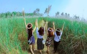 Giới trẻ đổ xô đi ngắm bãi cỏ lau tuyệt đẹp bên sông Lam Giới trẻ đổ xô đi ngắm bãi cỏ lau tuyệt đẹp bên sông Lam