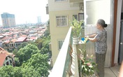 Không trồng quá nhiều cây ở ban công chung cư Không trồng quá nhiều cây ở ban công chung cư
