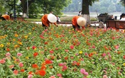 Hà Nội hối hả chào mừng ngày Quốc khánh Hà Nội hối hả chào mừng ngày Quốc khánh