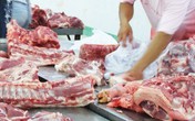 Đường đến… nghĩa địa Đường đến… nghĩa địa