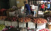 Lê, táo, thanh long: Cứ ra khỏi thùng là thành hàng “xịn”! Lê, táo, thanh long: Cứ ra khỏi thùng là thành hàng “xịn”!