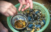 Nhập viện vì bát canh cua Nhập viện vì bát canh cua