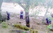 Khắc phục hậu quả bão số 1: Chính phủ yêu cầu không để đồng bào vùng lũ đói, khát Khắc phục hậu quả bão số 1: Chính phủ yêu cầu không để đồng bào vùng lũ đói, khát