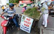 Cây “nở ngày đất” trị bách bệnh: “Kẻ bán cười nụ, người mua khóc thầm” Cây “nở ngày đất” trị bách bệnh: “Kẻ bán cười nụ, người mua khóc thầm”