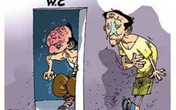 Dùng mật lợn chữa bệnh trĩ có hiệu quả không? Dùng mật lợn chữa bệnh trĩ có hiệu quả không?