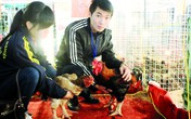 Sản vật “tiến vua” tràn hội chợ Xuân Sản vật “tiến vua” tràn hội chợ Xuân