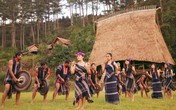 Tây Nguyên mùa nắng đỏ Tây Nguyên mùa nắng đỏ