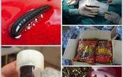 Không có cơ sở khoa học khi cho rằng, đỉa có thể sống trong dạ dày Không có cơ sở khoa học khi cho rằng, đỉa có thể sống trong dạ dày