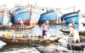 Dự thảo Luật Dân số sẽ có nhiều điểm mới Dự thảo Luật Dân số sẽ có nhiều điểm mới