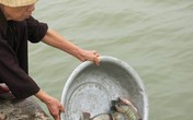 Phóng sinh dịp Rằm tháng Bảy thế nào để không mắc nghiệp ác? Phóng sinh dịp Rằm tháng Bảy thế nào để không mắc nghiệp ác?