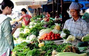 Cách hạn chế độc tố trong rau quả Cách hạn chế độc tố trong rau quả