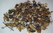 Cảnh báo ngộ độc từ thuốc Đông y Cảnh báo ngộ độc từ thuốc Đông y