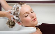 Giật mình nguy cơ nhiễm bệnh từ hóa chất gội đầu Giật mình nguy cơ nhiễm bệnh từ hóa chất gội đầu