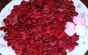 Cách chọn hạt dưa không bị nhuộm màu hóa chất Cách chọn hạt dưa không bị nhuộm màu hóa chất