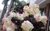 Tặng hoa hồng phủ chocolate cho ngày 8/3 Tặng hoa hồng phủ chocolate cho ngày 8/3