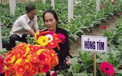 Những loại hoa nên mua để mang lại may mắn, tài lộc cả năm Những loại hoa nên mua để mang lại may mắn, tài lộc cả năm