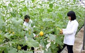 Thâm cung bí sử (78 - 3): Cứu sống một doanh nghiệp Thâm cung bí sử (78 - 3): Cứu sống một doanh nghiệp