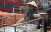 Giảm giá xăng dầu, người dân "mừng hụt" Giảm giá xăng dầu, người dân "mừng hụt"