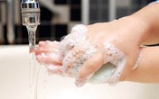 5 quan niệm sai lầm về dịch bệnh do vi rút, vi khuẩn 5 quan niệm sai lầm về dịch bệnh do vi rút, vi khuẩn
