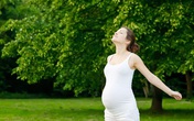 Ngoài sắt và canxi, bà bầu cần uống thêm gì? Ngoài sắt và canxi, bà bầu cần uống thêm gì?