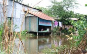 Báo động nước sinh hoạt tại 7 quận, huyện không đảm bảo Báo động nước sinh hoạt tại 7 quận, huyện không đảm bảo