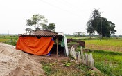 Căn lán đầy xi-lanh của nghi phạm đâm cả gia đình ở Hà Nội Căn lán đầy xi-lanh của nghi phạm đâm cả gia đình ở Hà Nội