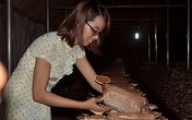 9X vừa đi học vừa làm giám đốc kiếm 70 triệu đồng/tháng 9X vừa đi học vừa làm giám đốc kiếm 70 triệu đồng/tháng