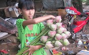 Bé gái 11 tuổi nghỉ học, kiếm tiền nuôi cha Bé gái 11 tuổi nghỉ học, kiếm tiền nuôi cha