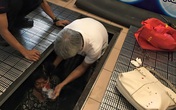 Thang cuốn bất ngờ... nuốt người Thang cuốn bất ngờ... nuốt người