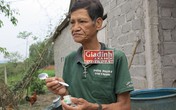 Lạ lùng lão nông 8 tháng “ngốn” hết 500 lọ cao xoa bóp Bạch Hổ Lạ lùng lão nông 8 tháng “ngốn” hết 500 lọ cao xoa bóp Bạch Hổ