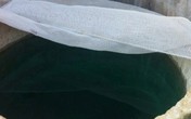 Chị dâu đổ thuốc độc vào bể nước ăn nhà em dâu Chị dâu đổ thuốc độc vào bể nước ăn nhà em dâu