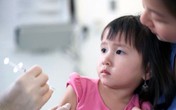 Cha mẹ nên làm gì khi trẻ bị chó cắn? Cha mẹ nên làm gì khi trẻ bị chó cắn?