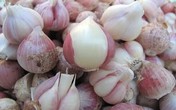 6 thực phẩm nên ăn nhiều giúp gan khỏe mạnh hơn 6 thực phẩm nên ăn nhiều giúp gan khỏe mạnh hơn