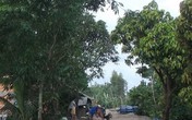 Dùng chĩa đâm con trai nguy kịch rồi uống thuốc sâu tự tử Dùng chĩa đâm con trai nguy kịch rồi uống thuốc sâu tự tử