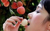 Những điều tuyệt đối tránh khi ăn vải Những điều tuyệt đối tránh khi ăn vải