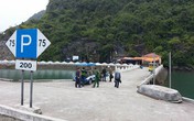 Quảng Ninh mưa dị thường, Hải Phòng nguy cơ ngập lụt Quảng Ninh mưa dị thường, Hải Phòng nguy cơ ngập lụt