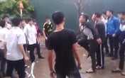 Máu nóng, máu lạnh Máu nóng, máu lạnh