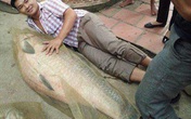 Bắt được cá trắm “khủng” nặng tới 52kg Bắt được cá trắm “khủng” nặng tới 52kg