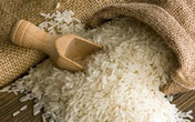Công dụng tuyệt vời của hạt gạo bị bỏ quên Công dụng tuyệt vời của hạt gạo bị bỏ quên