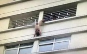 Chồng khỏa thân treo mình giữa ban công vì bị vợ bỏ Chồng khỏa thân treo mình giữa ban công vì bị vợ bỏ