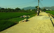 Né đống đá dăm, một phụ nữ bán rau chết tức tưởi Né đống đá dăm, một phụ nữ bán rau chết tức tưởi