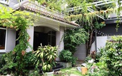 Cao Thái Sơn trải qua nhiều thất bại để có nhà vườn xanh mướt Cao Thái Sơn trải qua nhiều thất bại để có nhà vườn xanh mướt
