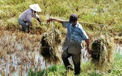Đạo đức giả Đạo đức giả