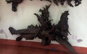 Những thú chơi 'đốt tiền' ngày Tết của đại gia Việt Những thú chơi 'đốt tiền' ngày Tết của đại gia Việt