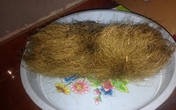 Vĩnh Phúc: Mổ lợn thấy "trứng vàng" nghi cát lợn tiền tỷ Vĩnh Phúc: Mổ lợn thấy "trứng vàng" nghi cát lợn tiền tỷ