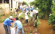 Dịp Tết, đừng chủ quan với dịch sốt xuất huyết Dịp Tết, đừng chủ quan với dịch sốt xuất huyết